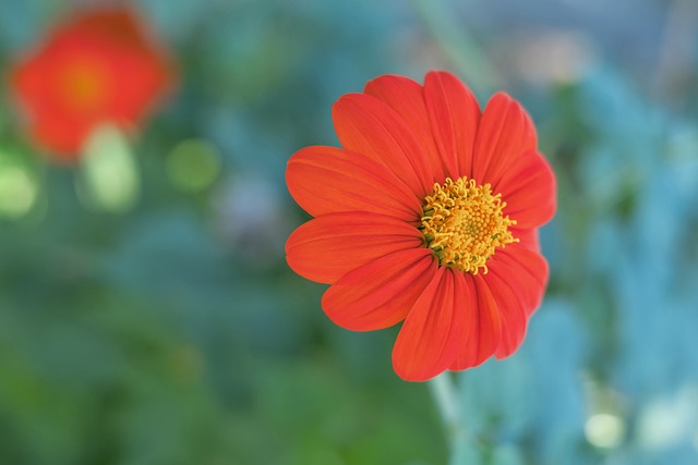 西卡高分開掛 杜蘭特火力全開 布克意外受傷 步行者輕松拿下太陽喜提三連勝.